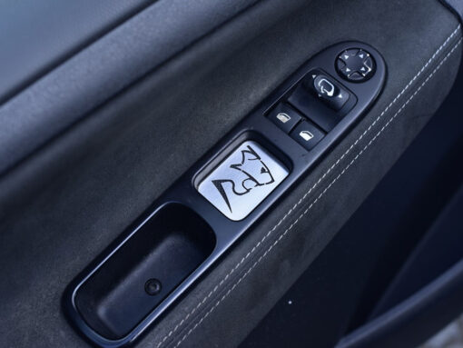 PEUGEOT 207 DOOR CONTROLS PLATE COVER - Quality interior & exterior steel car accessories and auto parts